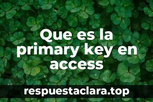 Que es la primary key en access