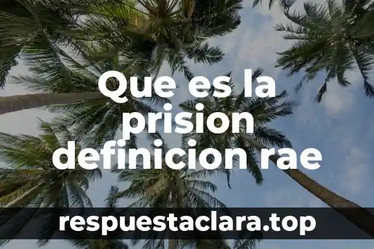 Que es la prision definicion rae