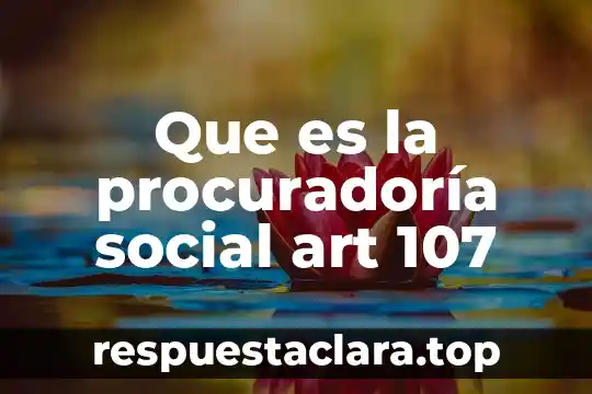 Que es la procuradoría social art 107