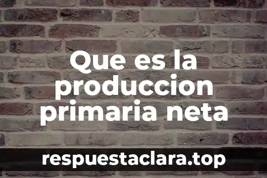 Que es la historia primaria 4 Que es la produccion primaria neta