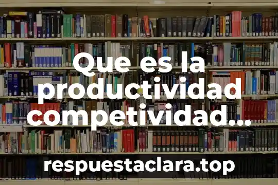 Que es nombre fiscal de la empresa 7 Que es la productividad competividad rentabilidad de la empresa