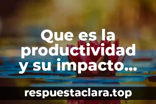 Que es la productividad y su impacto en la actualidad