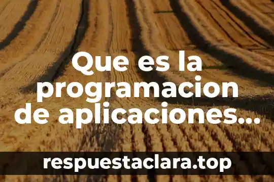 Que es sincronizacion automatica de datos de aplicaciones 7 Que es la programacion de aplicaciones naticas