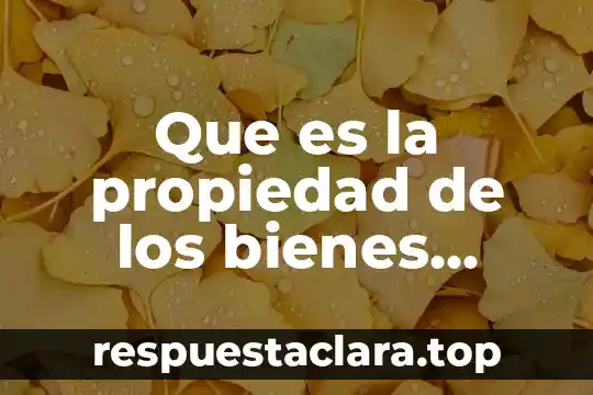 Que es la propiedad como derecho real 5 Que es la propiedad de los bienes productivos