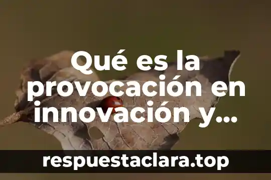 En su concepto que es emprendedurismo 3 Qué es la provocación en innovación y emprendedurismo ejemplos