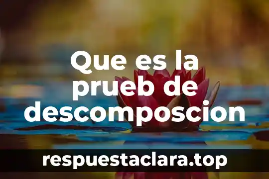Que es papel torna sol 8 Que es la prueb de descomposcion