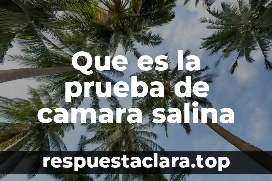 Que es la prueba de camara salina
