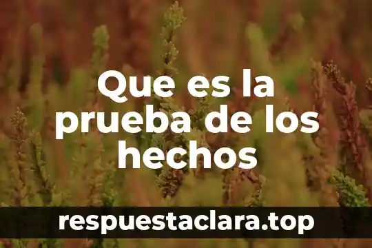 Que es la prueba de los hechos
