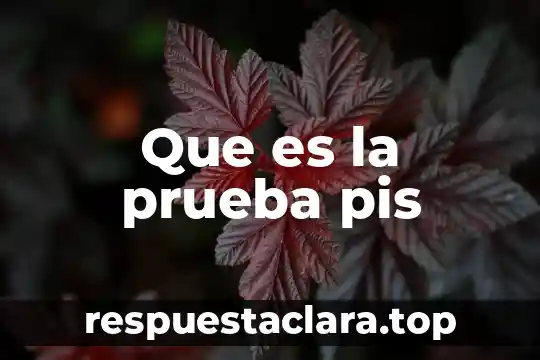 Que es una prueba de significa 5 Que es la prueba pis