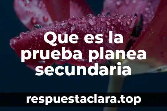 Que es la prueba planea secundaria