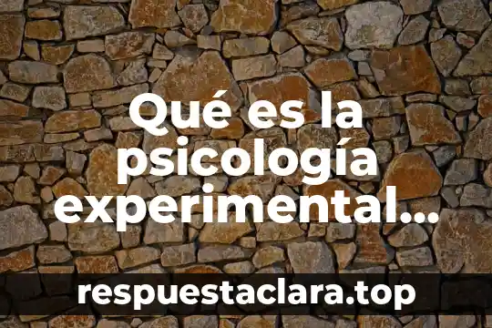 Qué es la teoría del color y su figura 7 Qué es la psicología experimental ejemplos