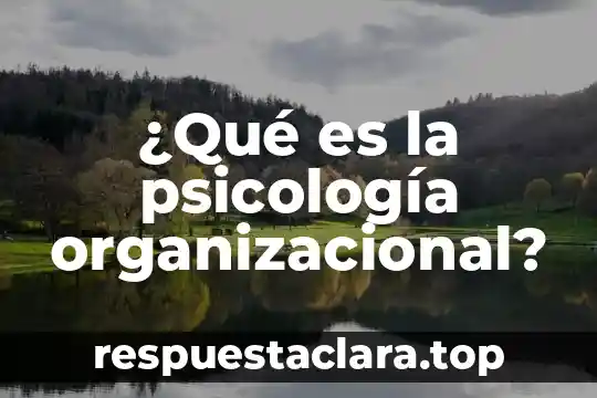 Por que es importatente conocer la historia 5 ¿Qué es la psicología organizacional?