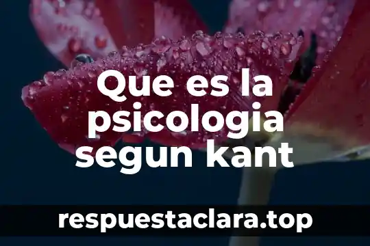 Que es la psicologia segun kant