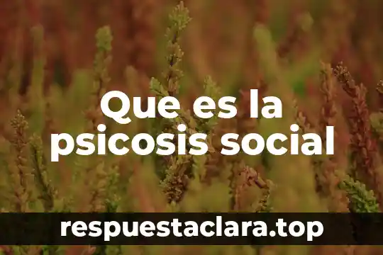 Que es la psicosis social