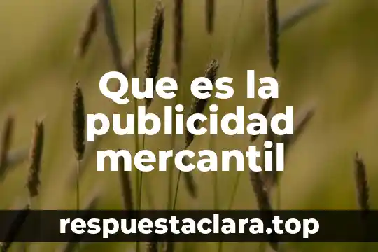 Que es la publicidad mercantil