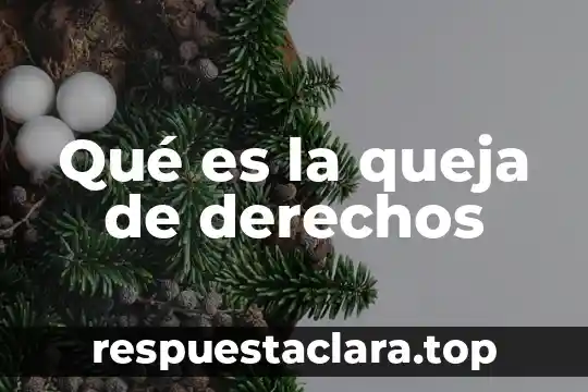 Qué es la queja de derechos