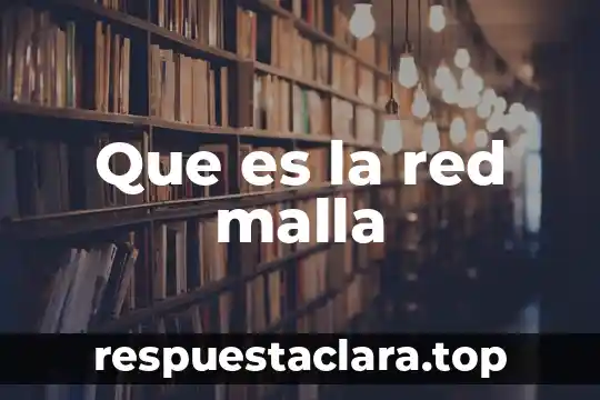 Que es la red malla