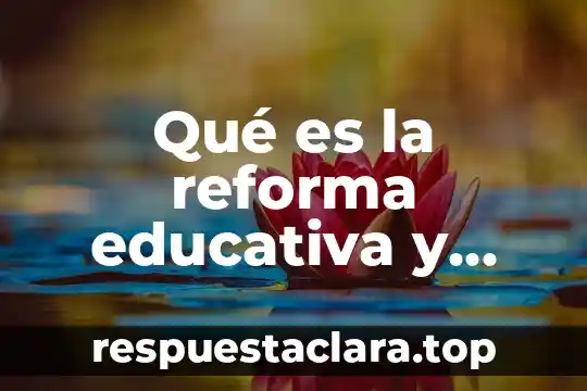 Qué es la reforma educativa y quién la creo
