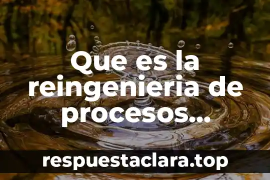 Que es la reingenieria de procesos administrativos redalyc