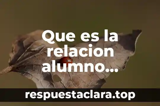 Que es la relacion alumno maestro