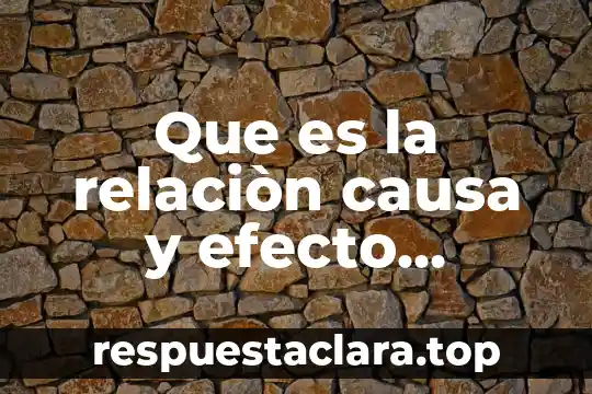 Qué es la justicia para niños 3 Que es la relaciòn causa y efecto ejemplos