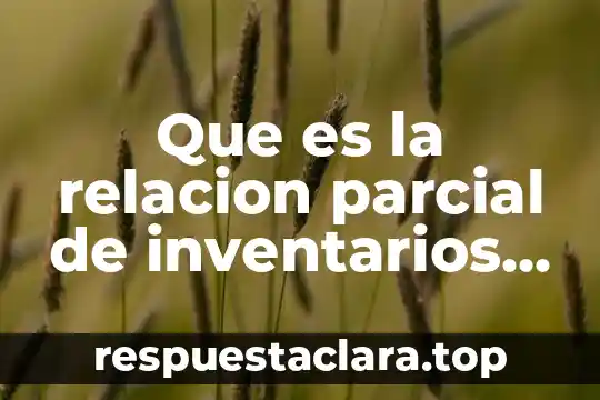 Que es un espacio parcial dentro de la danza 8 Que es la relacion parcial de inventarios etiquetas de inventarios
