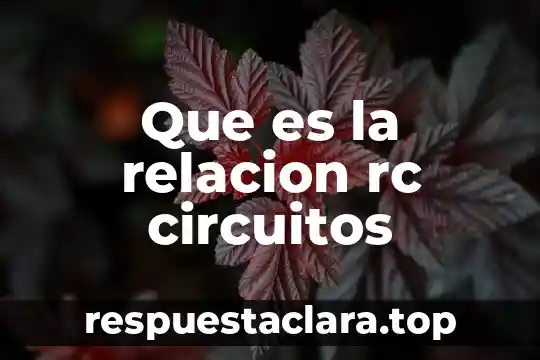 Que es la relacion rc circuitos