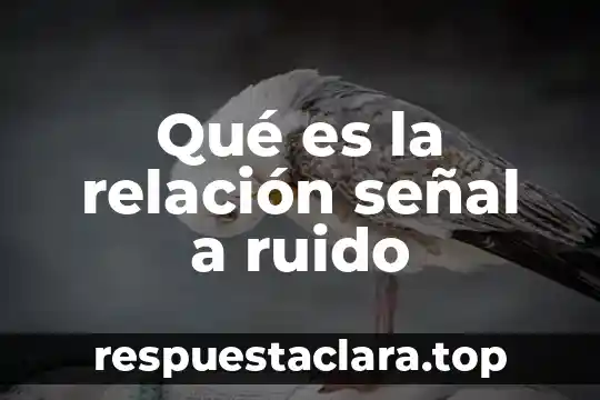 Qué es la relación señal a ruido