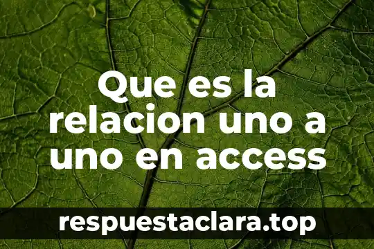 Que es la relacion uno a uno en access