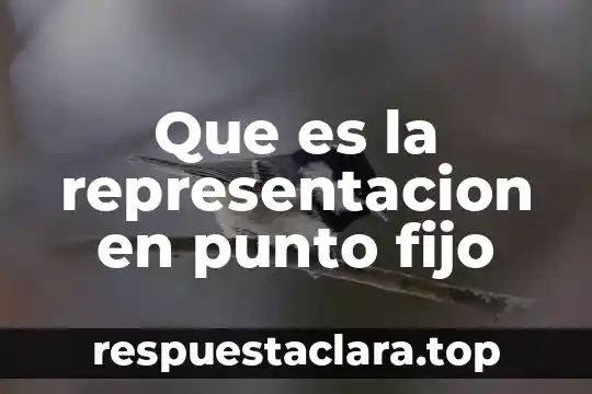 Qué es un activo fijo tangible yahoo 5 Que es la representacion en punto fijo