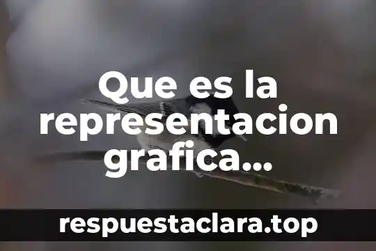 Que es uan celula animal 3 Que es la representacion grafica electrica