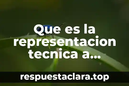 Que es la representacion tecnica a traves de la historia