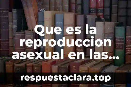Que es el aseguramiento de personas de extranjeros 3 Que es la reproduccion asexual en las personas