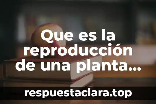Que es diaspora planta 5 Que es la reproducción de una planta asexual