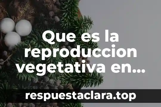 Que es la reproduccion vegetativa en las plantas