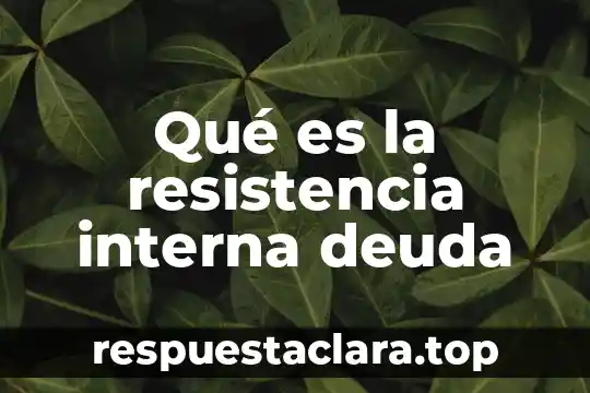 Qué es un gasto y deuda en economía 8 Qué es la resistencia interna deuda