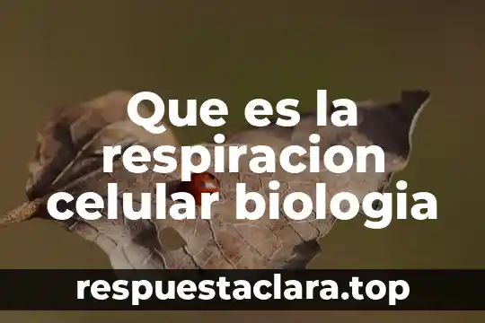 Que es un mineral biologia 8 Que es la respiracion celular biologia