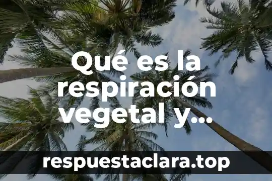 Qué es la respiración vegetal y animal
