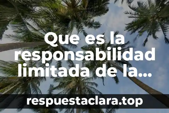 Que es crisalida significado 5 Que es la responsabilidad limitada de la sociedad anonima