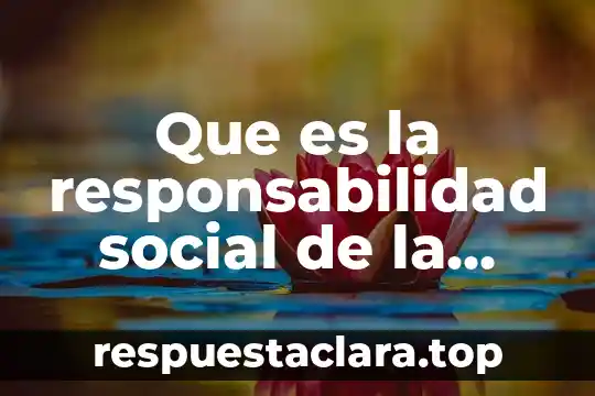 Que es la responsabilidad social de la empresa marinela
