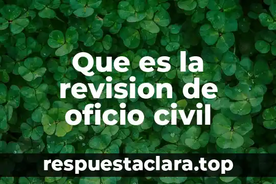 Que es la revision de oficio civil