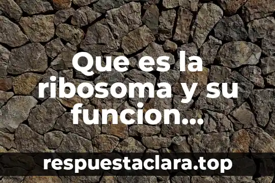 Que es la ribosoma y su funcion resumen