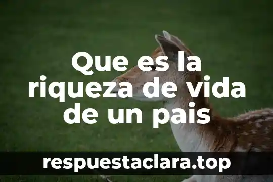 Que es la riqueza de vida de un pais