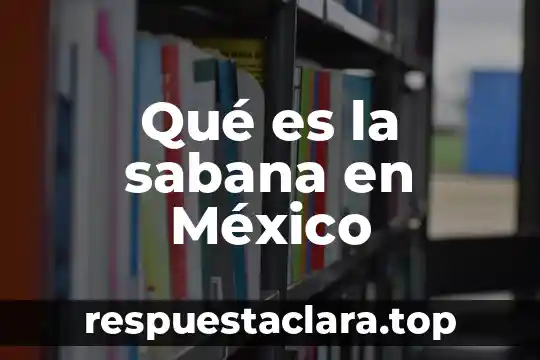 Historia de mexico que es 4 Qué es la sabana en México