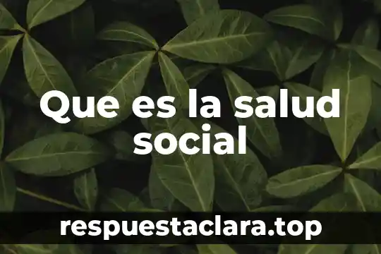 Que es el nombre social 3 Que es la salud social