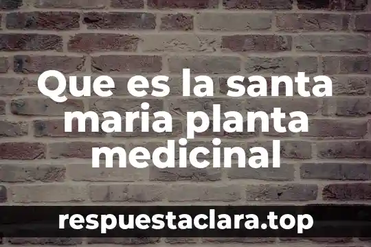 Que es la santa maria planta medicinal