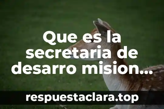 Que es la secretaria de desarro mision visonllo economico