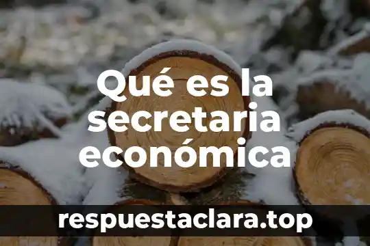 Que es ser regularizado en secretaria de salud 6 Qué es la secretaria económica