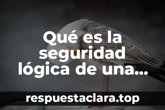 Qué es la seguridad lógica de una red