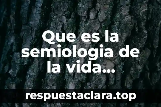 Que es la semiologia de la vida cotidiana